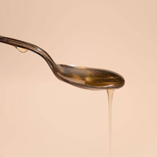 Load image into Gallery viewer, Reed Diffuser | Golden Honey + Tonka