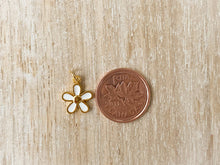 Load image into Gallery viewer, Charms