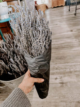 Load image into Gallery viewer, Lavender | Dried French Lavender Bunch