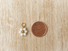 Load image into Gallery viewer, Charms