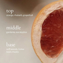 Load image into Gallery viewer, Liquid Dish Soap | Eucalyptus + Grapefruit