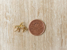 Load image into Gallery viewer, Charms