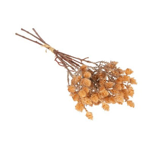Wild Grass Bundle