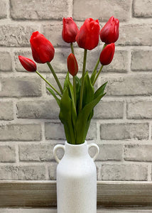Tulips 12" Assorted Colours