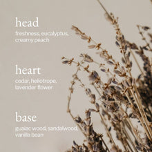 Load image into Gallery viewer, Liquid Hand Soap | Lavender, Sandalwood &amp; Vanilla
