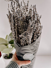 Load image into Gallery viewer, Lavender | Dried French Lavender Bunch
