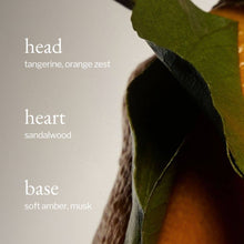 Load image into Gallery viewer, Reed Diffuser | Tangerine, Sandalwood &amp; Amber
