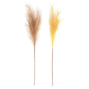 Pampas Grass - Assorted Colours