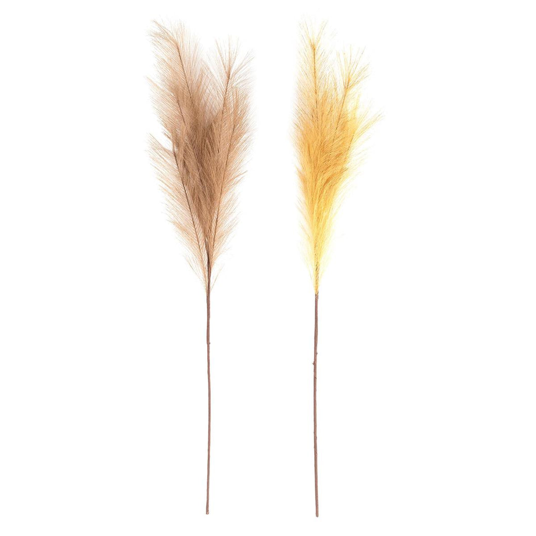 Pampas Grass - Assorted Colours