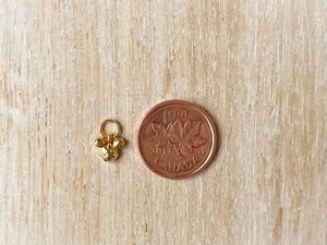 Charms