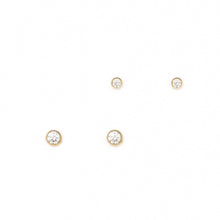 Load image into Gallery viewer, Fin Studs
