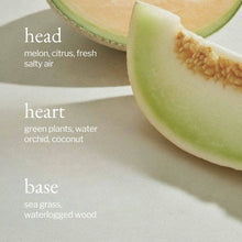 Load image into Gallery viewer, Liquid Hand Soap | Melon + Salty Air
