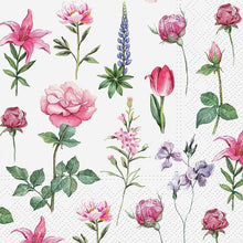 Load image into Gallery viewer, Luncheon Napkins Collection
