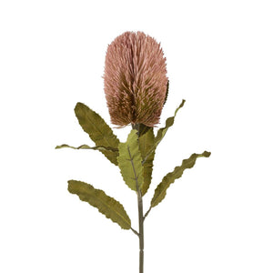 Banksia Floral Pink Stem