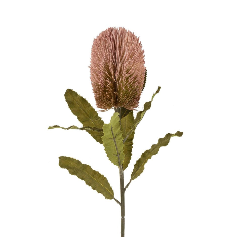 Banksia Floral Pink Stem