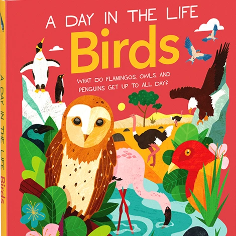 A Day in the Life Birds