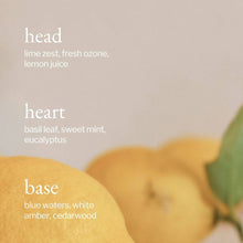 Load image into Gallery viewer, All Purpose Cleaner | Lemon, Sage &amp; Rosemary
