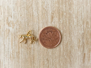 Charms