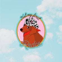 Load image into Gallery viewer, Not My First Rodeo Sticker
