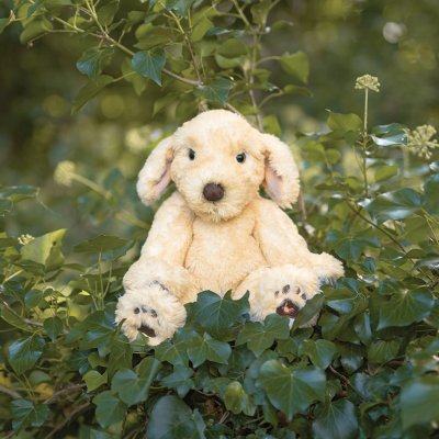 Labrador Plush 