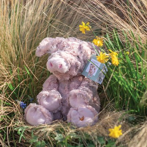 Vanessa Pig Wrendale Collection