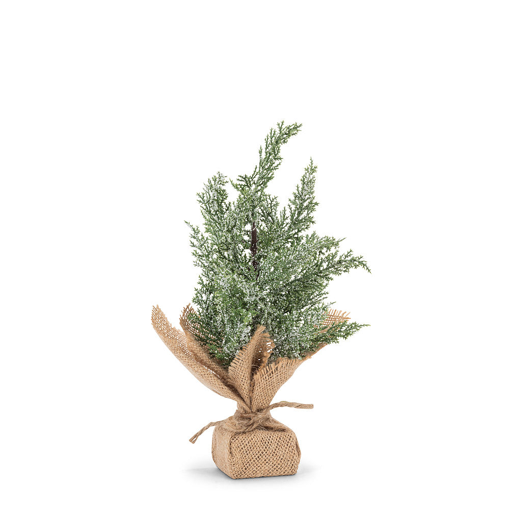 Green Tree with Burlap Base