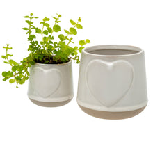 Load image into Gallery viewer, Love Pot
