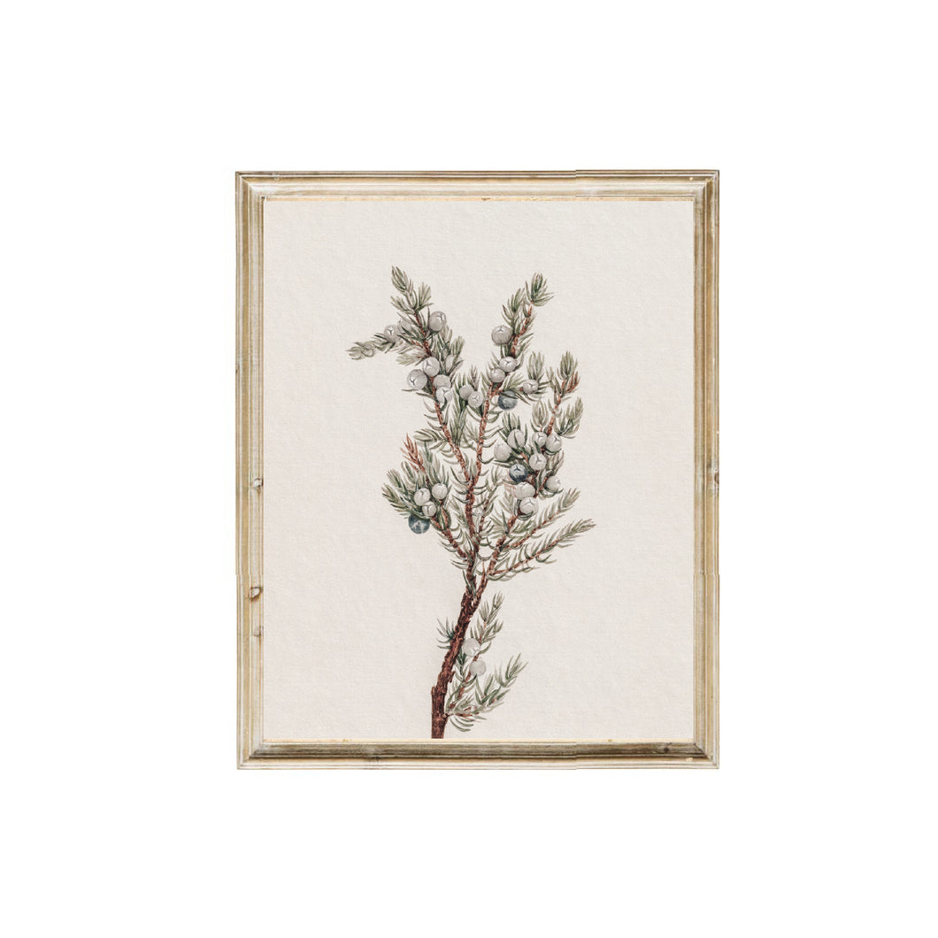 Winter Greenery Vintage Art
