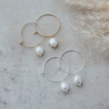 Load image into Gallery viewer, Glee Earrings Bellamy Hoops
