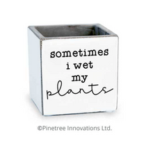Load image into Gallery viewer, PTI Succulent Pots Small Assorted
