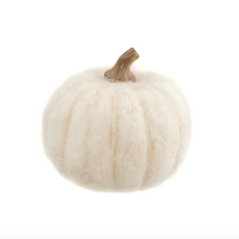 Load image into Gallery viewer, Felt Pumpkin Collection
