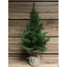 Load image into Gallery viewer, TRIW 19&quot; Cedar Trees with Burlap Base
