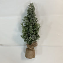 Load image into Gallery viewer, TRIW 19&quot; Cedar Trees with Burlap Base
